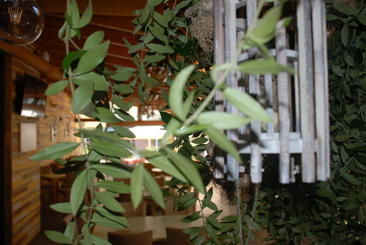 Olive Tree Ξενοδοχείο Σαράντα Εξωτερικό φωτογραφία